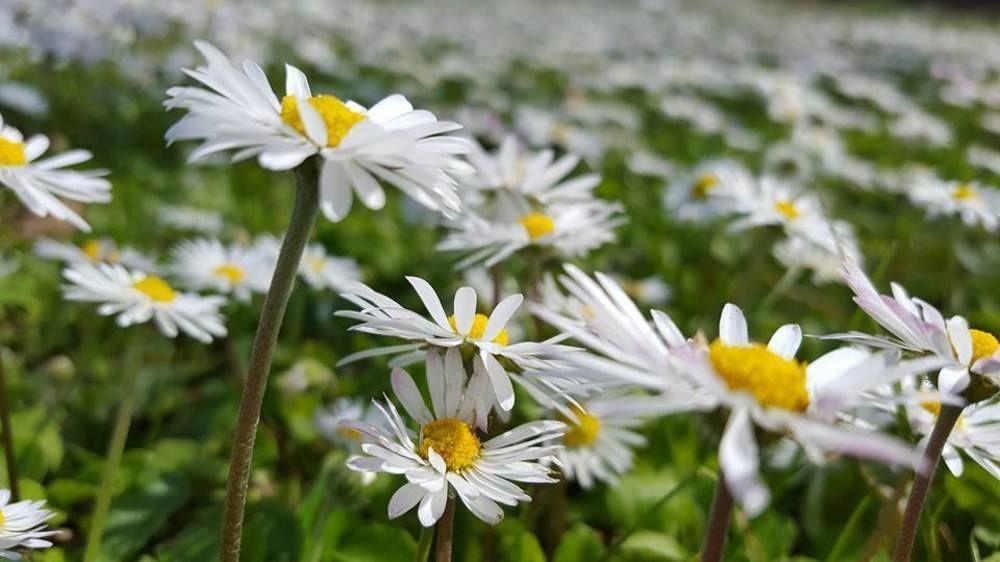 Borgodoro - Natural Retreat マリアーノ・サビーナ エクステリア 写真